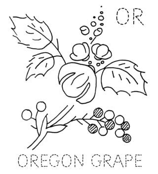 320x353 17 Best Cap Decor Images On Oregon Grape, Baseball Cap
