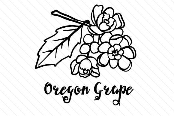 580x386 State Flower Oregon Grape Svg Cut File By Creative Fabrica Crafts