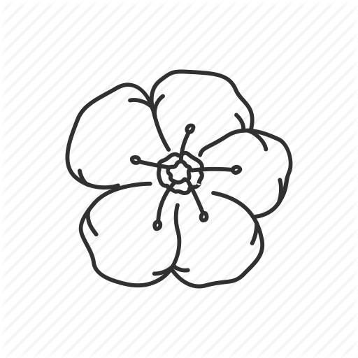 512x512 Usa State Flowers' By Vectto