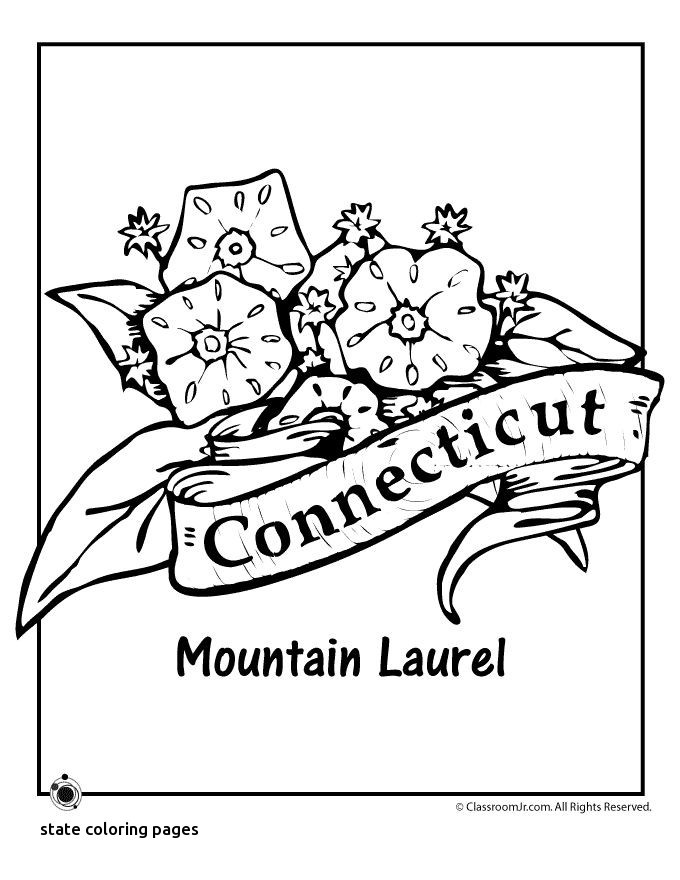 680x880 20 Lovely State Coloring Pages Msainfo.us