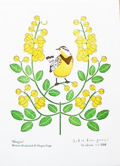 236x328 Oregon State Flower Oregon Grape