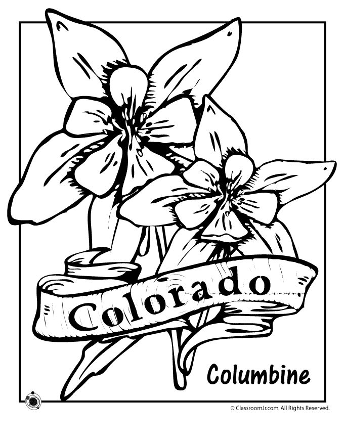680x880 Best 59 Homeschooling State Stuff Ideas On Coloring