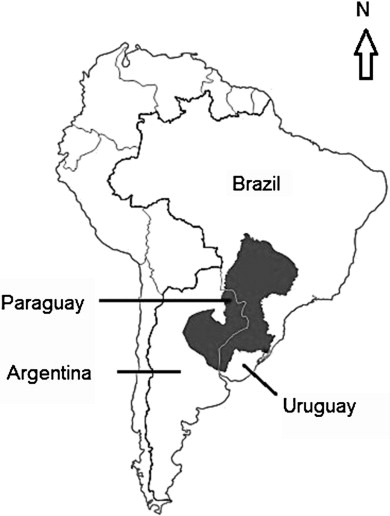 390x516 Reverse Osmosis For Desalination Of Water From The Guarani Aquifer