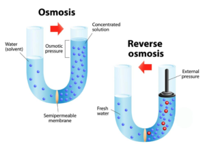 300x217 Reverse Osmosis Decoded