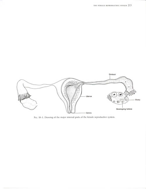 500x647 Visual Histology (Cytology) Teaching Series
