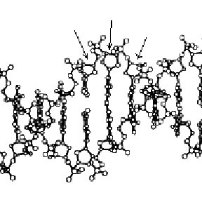 288x288 Nuclear Structure Of The Oxygen Atom Download Scientific Diagram