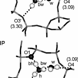 320x320 Structure Of The 4 1 H 2 O Complex. Framework Oxygen