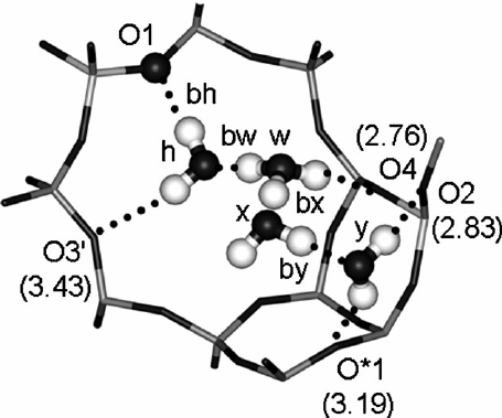 455x379 Structure Of The 4 1 H 2 O Complex. Framework Oxygen
