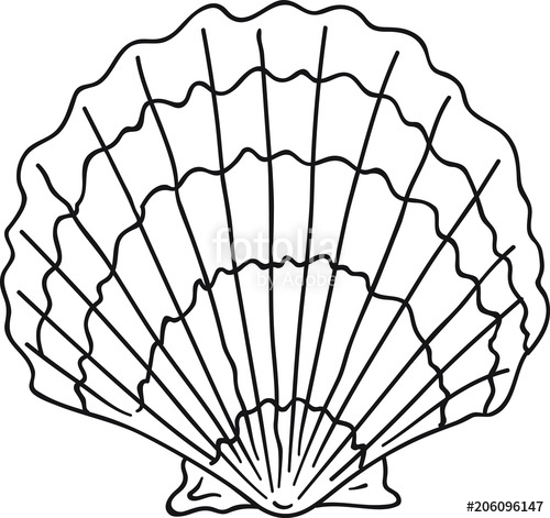 500x471 Hand Drawn Doodle Sketch Line Art Vector Illustration Of Oyster