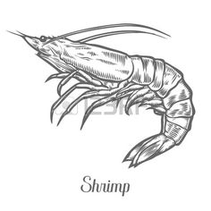 236x236 Oysters Pattern Oysters, Vintage Wallpapers