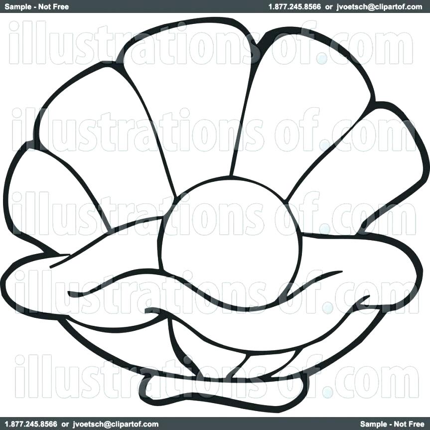 863x863 Clam Coloring Page Oyster Animal Coloring Pages Coloring Pages Pin