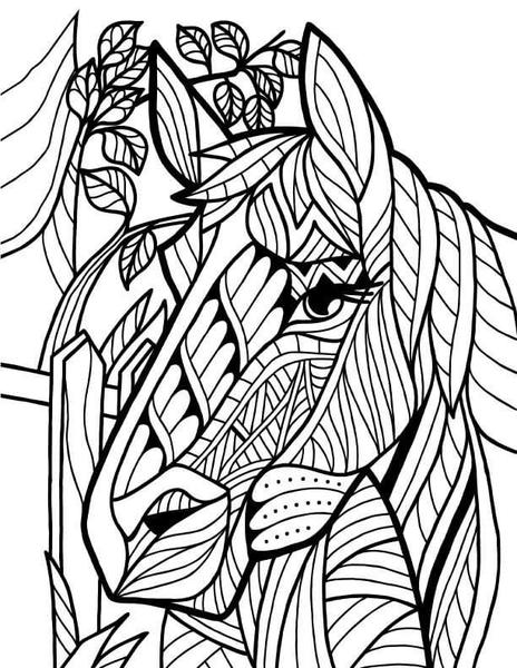 464x600 Introduction To Colorit Download Pack Of 20 Drawings