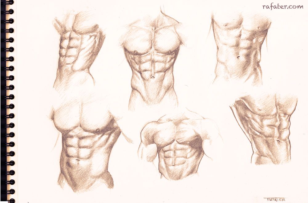 1000x660 Male Torso Study For The Six Pack Lovers By