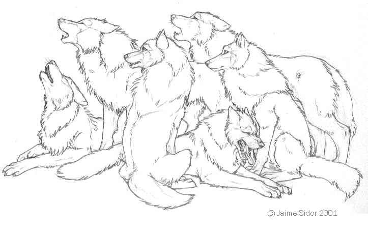 723x456 Gallery Pack Of Wolves Drawing,