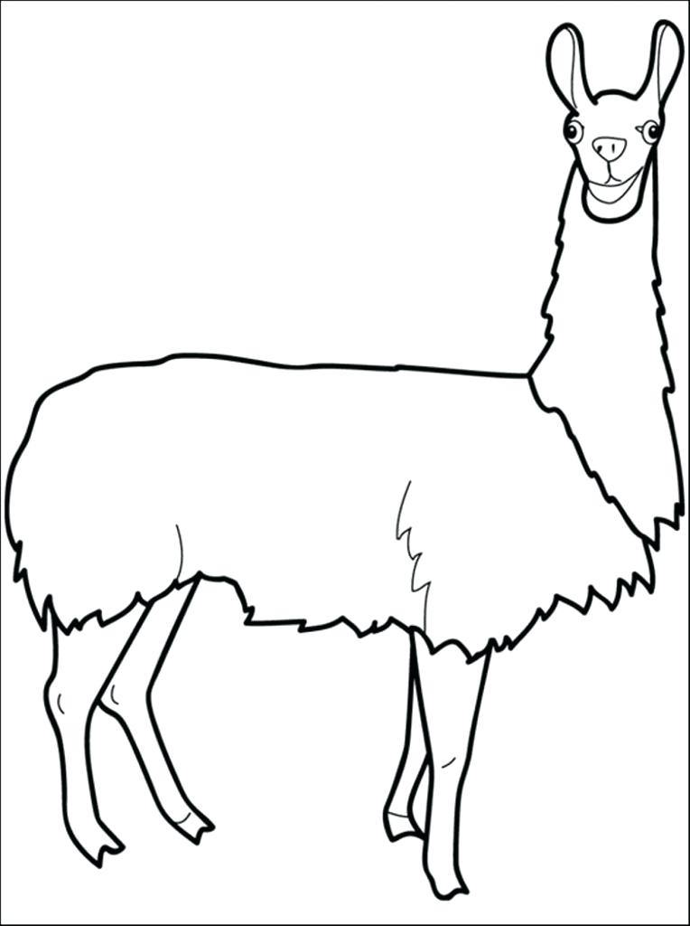 764x1024 Astounding Cute Llama Drawing With Coloring And Alpaca Pages Adult