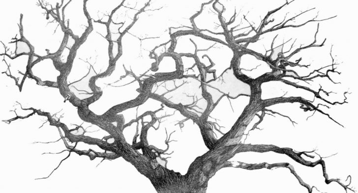 728x393 Winter Sketches Tumblr Drawings Of Trees Images Art Works Tree