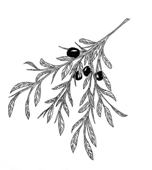 500x559 Branches Tattoo Tumblr