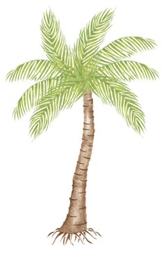 236x364 Collection Of Palm Tree Drawing Tumblr High Quality, Free