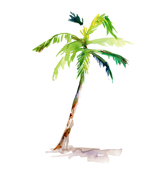 650x700 Collection Of Tumblr Palm Tree Drawing High Quality, Free