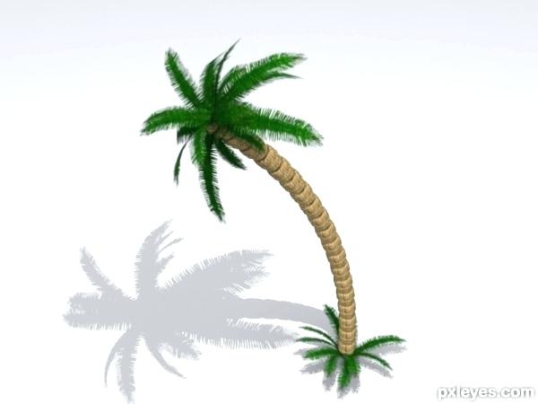 600x450 Drawing Of A Palm Tree Tumblr How To Draw Step 3 Easy Cut Out