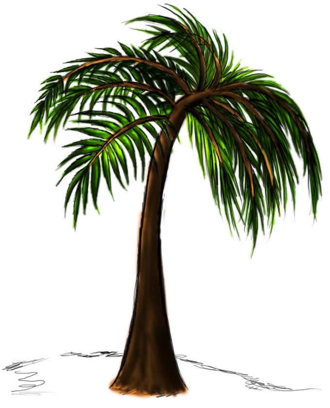 680x840 Palm Tree Drawing Tumblr