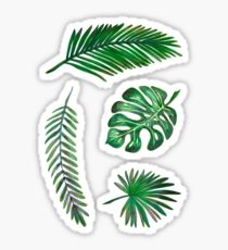 210x230 Palm Tree Gifts Amp Merchandise Redbubble