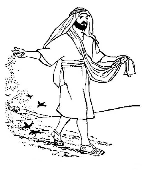 594x690 Gospel Reflections Daily The Parable Of The Seeds September