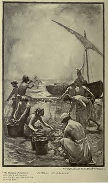 220x371 Parable Of Drawing In The Net