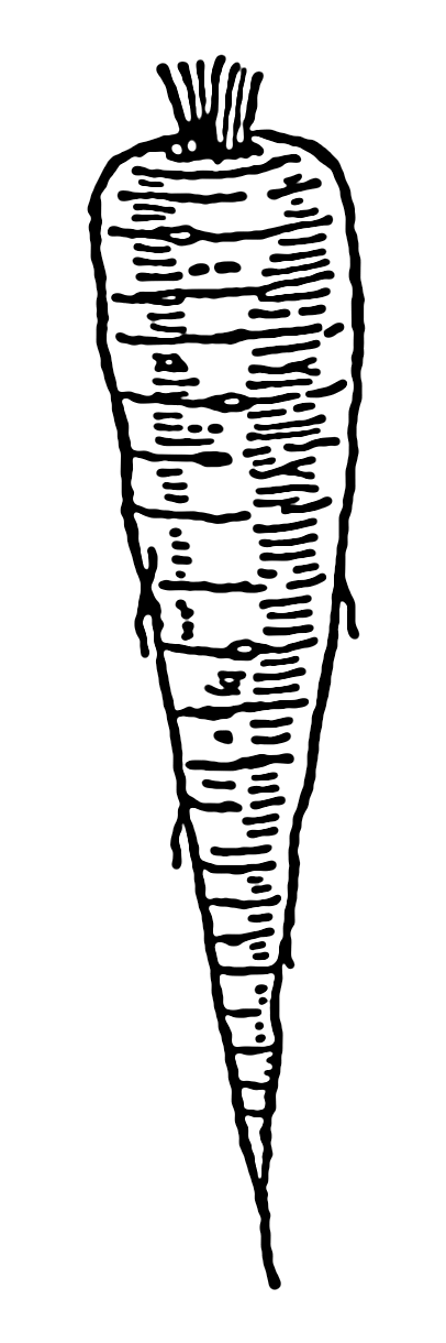 406x1220 Fileparsnip (Psf).png