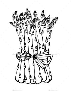 236x301 A2 Art Personal Investigation, Unit 3 (Natural Forms) Pencil