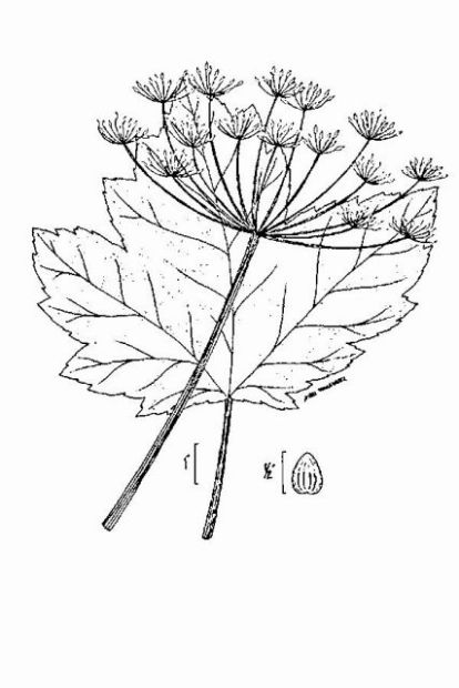 414x620 Photo Gallery 3