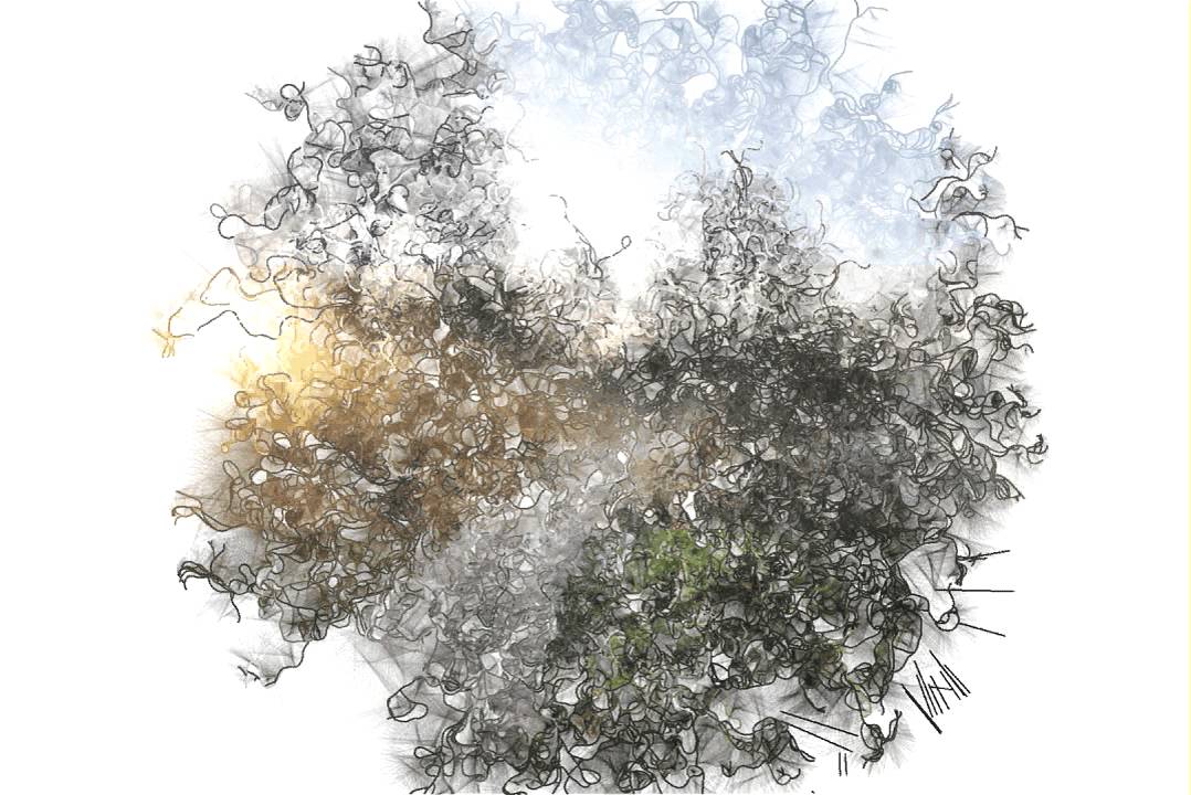 1078x720 Particle System Photo Drawing
