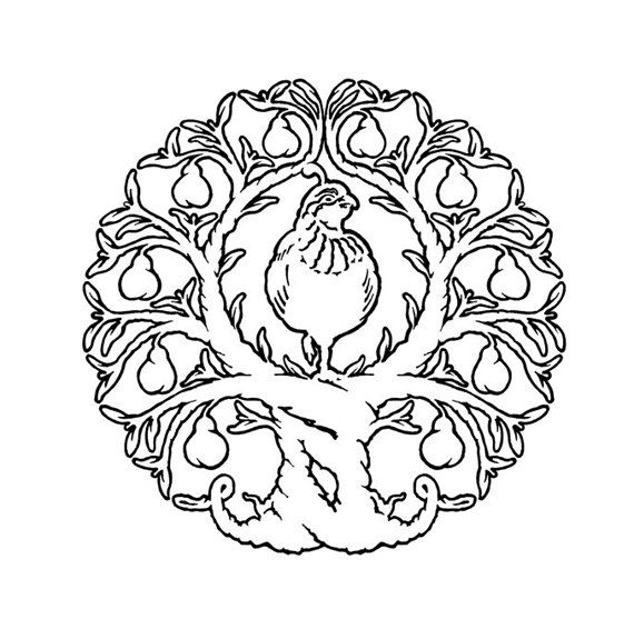 570x575 Partridge In A Pear Tree Line Drawing