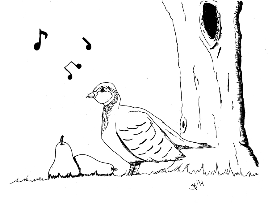 868x656 December 1st