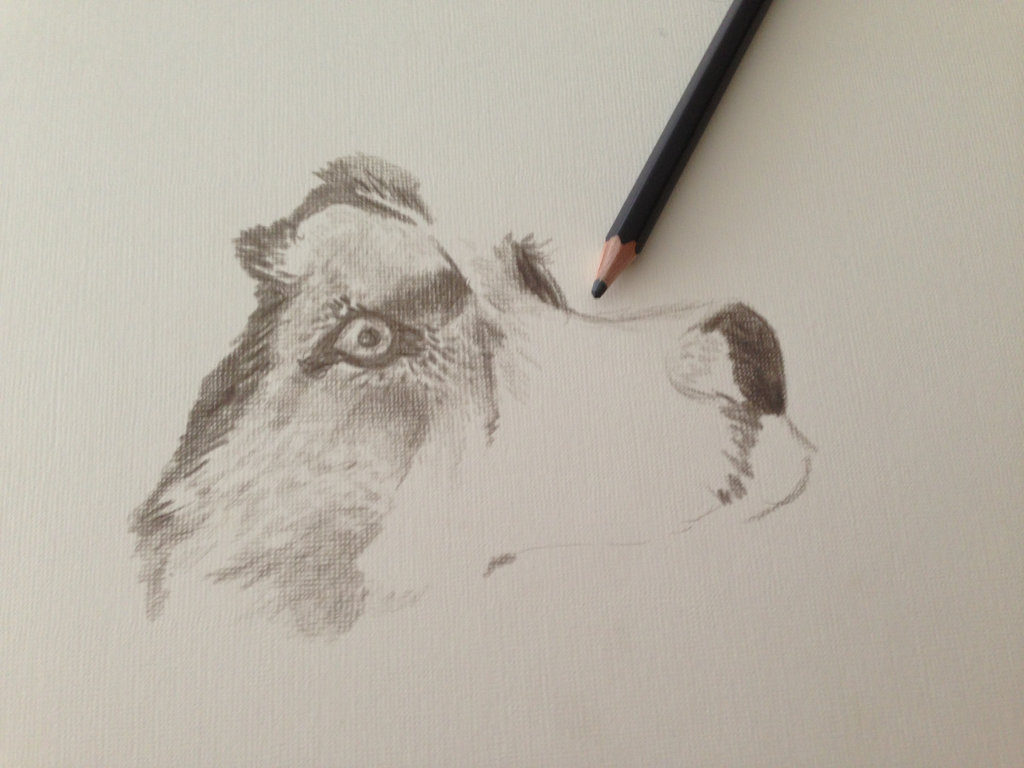 1024x768 Drawing Is My Passion By Shoyra