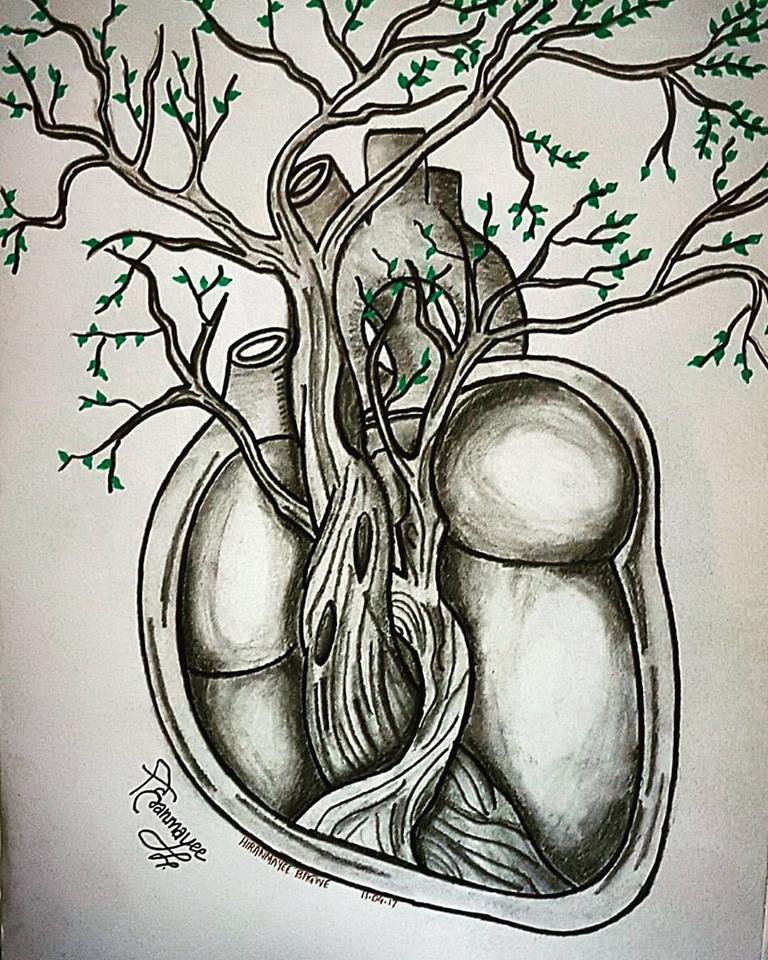 768x960 Medicowesome Medicowesome Secret Project Organ Series