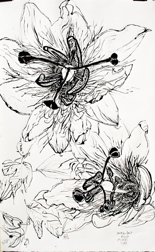 308x500 Christian Peltenburg Brechneff