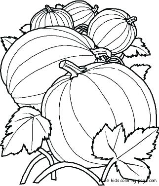 322x377 Pumpkin Patch Coloring Pages Pumpkin Coloring Pages Free Printable