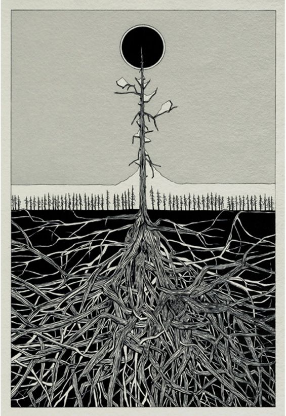 565x821 Best 30 Stuart Patience Ideas On Patience