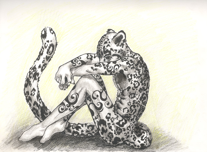 700x514 Patience, The Snow Leopard By Aliasmyself