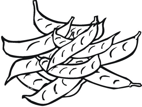 480x360 Peas Coloring Pages To Girls Color Udin