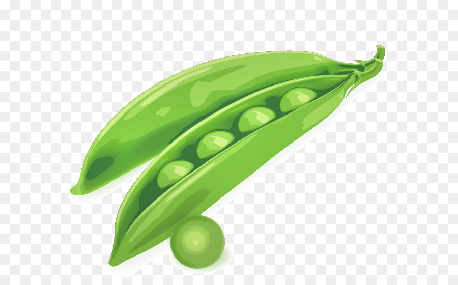 900x560 Pea Drawing Pod Illustration