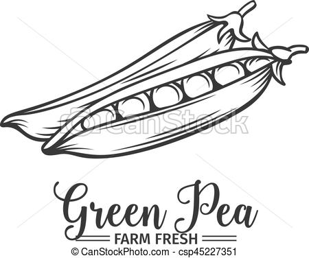 450x376 Hand Drawn Green Pea Icon. Vector Badge Vegetable In The Old Ink