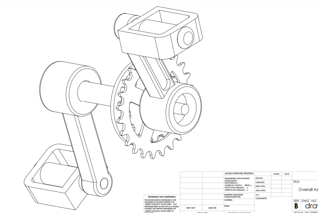 1024x689 Bike Pedal Tracy Lu