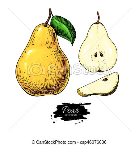 450x470 Volle, Drawing., Peer, Vrijstaand, Hand, Afgesnijdenene, Vector