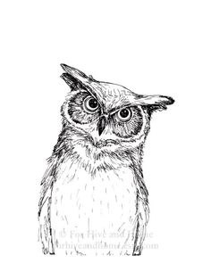 236x305 Owl Ink Alfred Basha Randomm!!! Owl, Drawings