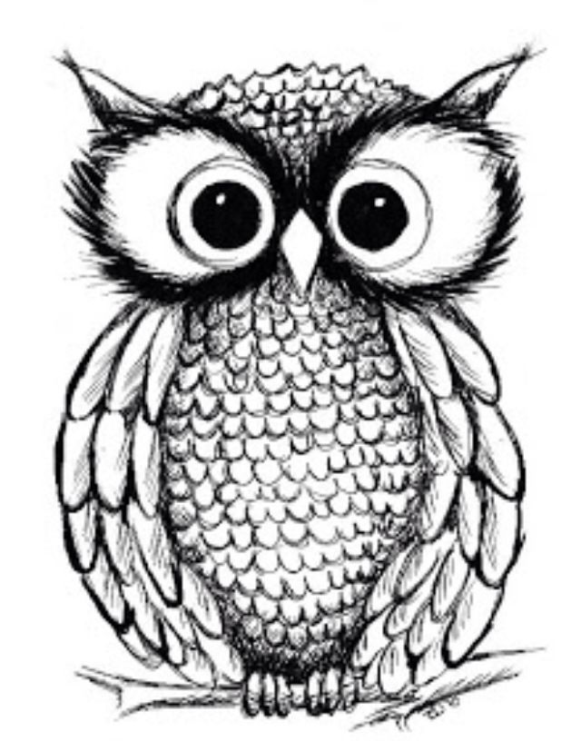 640x816 Pin By Natalie On Things I Love Owl, Drawings