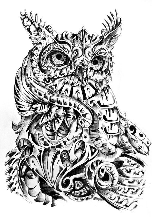 600x857 Pin By Valik Shvedov On Owl