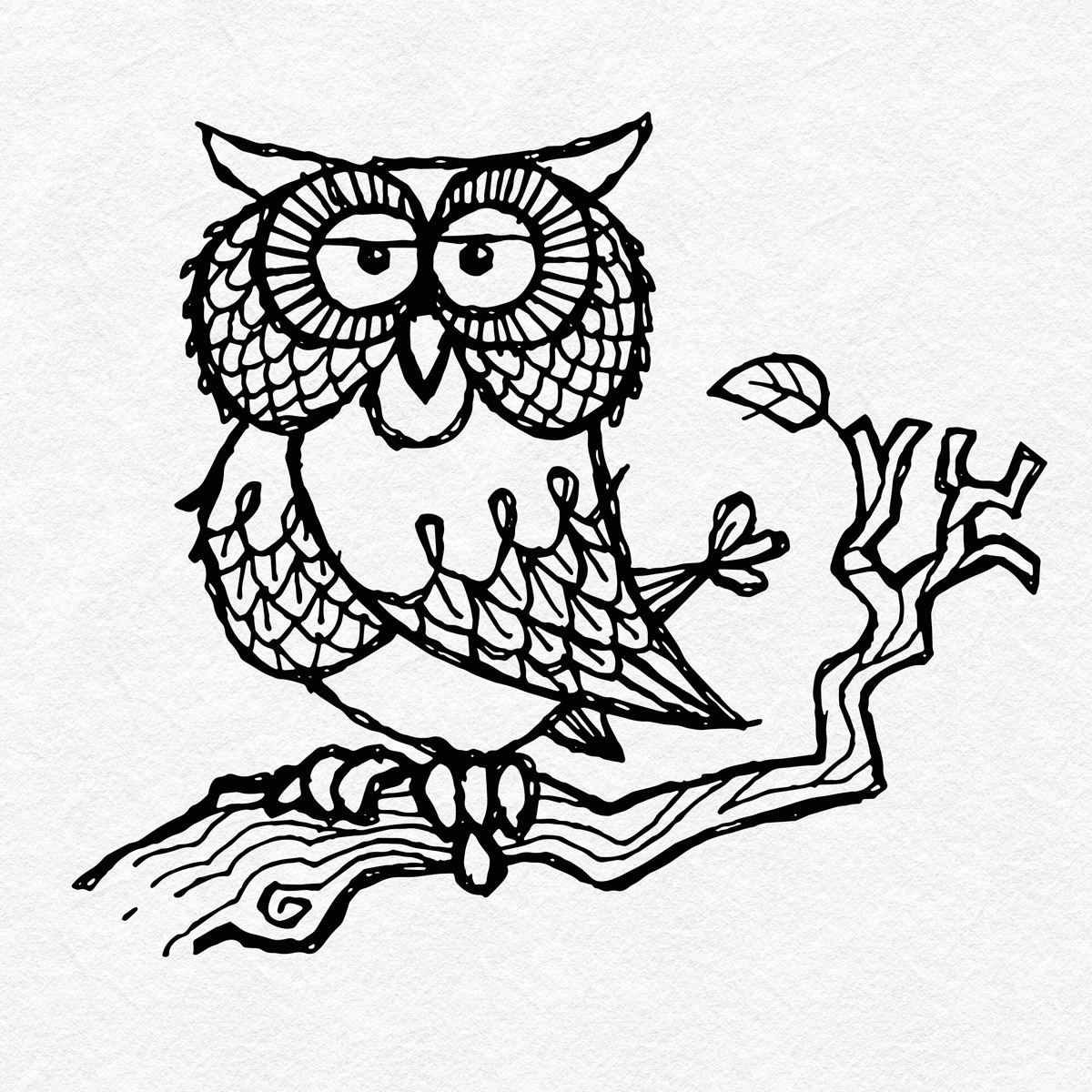1200x1200 Design 7 Studio Illustration Owl