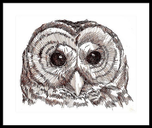 600x504 Sepia Pen And Ink Owl Drawing Framed Print By Heather Davis